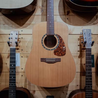 Norman Protege B18 CW Cedar Presys SF Acoustic Electric Cutaway