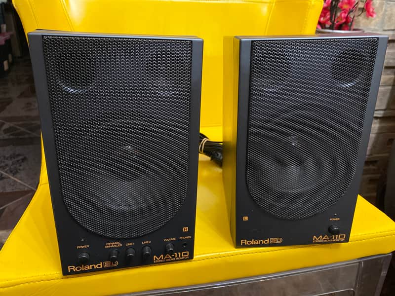 ROLAND MA-110 STEREO MICRO MONITOR Set Tested 30W Computer