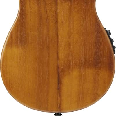 Ibanez AUC10E-OPN Concert Ukulele Open Pore Natural incl. Gigbag - NEW image 12