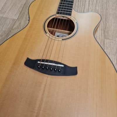 Tanglewood Discovery Exotic DBT SFCE PW image 5