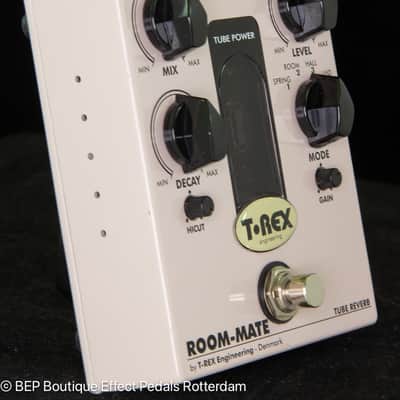 T-Rex Room-Mate 2010s s/n RM5012 image 2