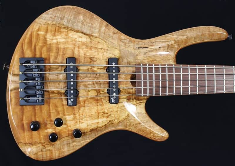 Roscoe 5 String Century Custom bass with amazing quilt/spalt top image 1