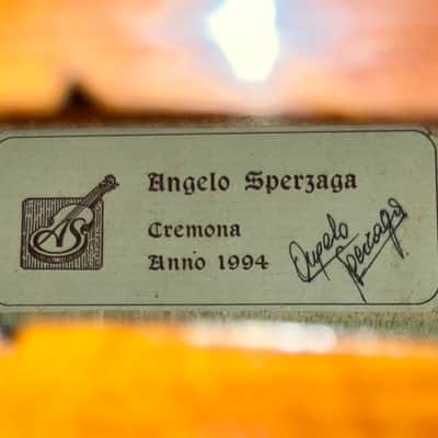 Angelo Sperzaga Violoncello "Stradivari - Piatti" Cremona, Italy 1994 with papers image 22