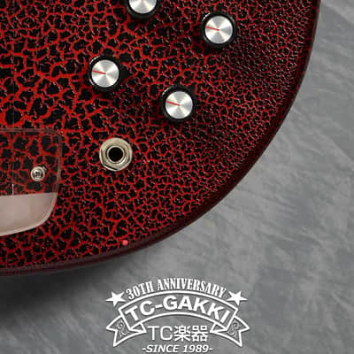 JERRY JONES GUITARS Electric Sitar image 5