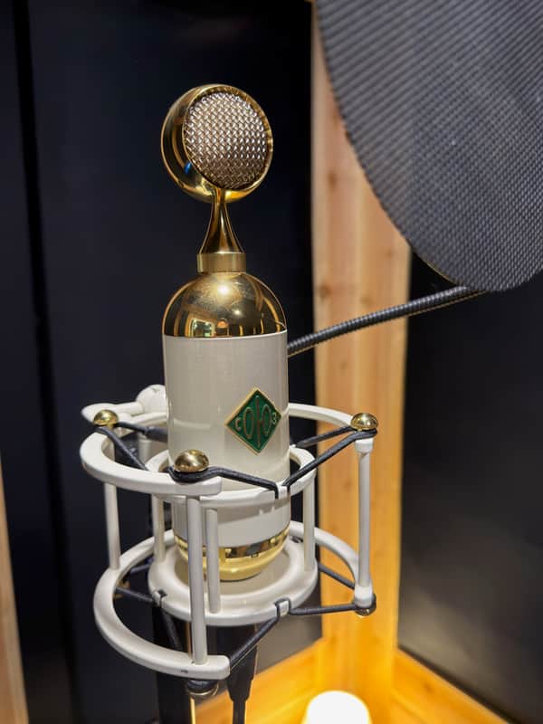 Soyuz Microphones 017 FET Large Diaphragm Cardioid Condenser image 1