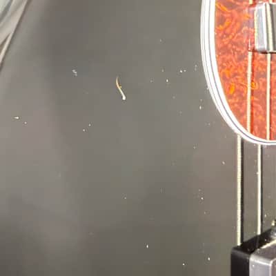Sire Marcus Miller V7 5-String Bass - Black image 7