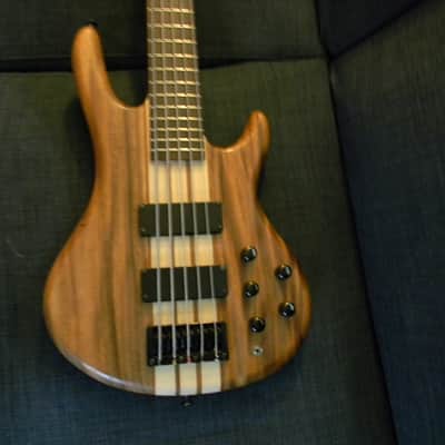 2009 Wolf Custom Bassman 5 String electric Bass NAMM Special 100% Mint/Unplayed! image 8