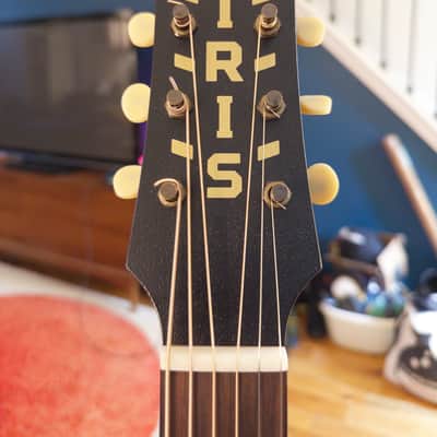 Iris CH 2024 with LR Baggs Anthem pickup - Natural Mahogany image 9