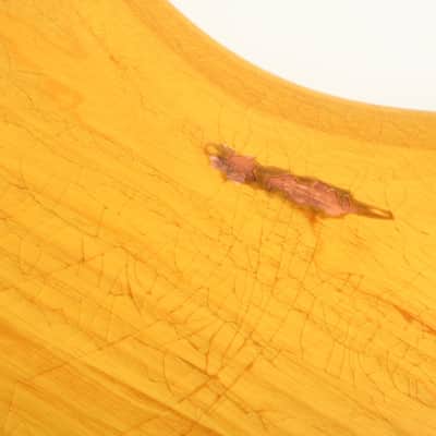 Nash Guitars JB-63 Natural Lollar Pickups GRT-613 image 10