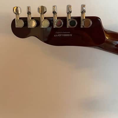 Fender Telecaster Custom HH - spalted Maple Leaf image 3