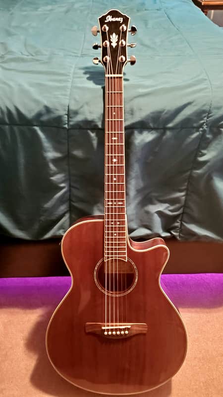 Ibanez AEG12II-NMH Beginner Guitar w/ Hard Case image 1