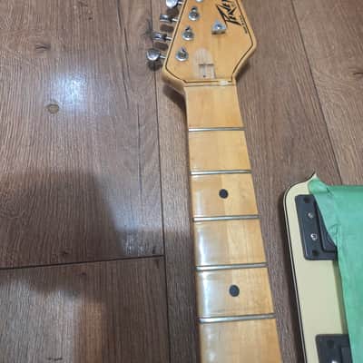 Peavey T-25 1979 - Natural image 2