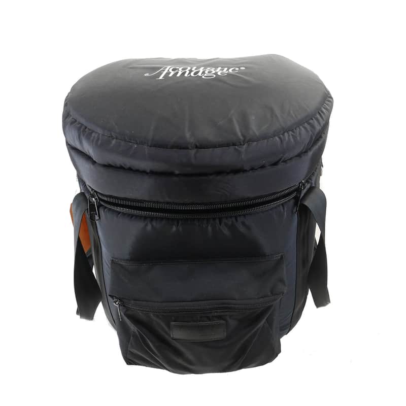 Acoustic Image Ten2 S4 631AA Double Bass Amp with Mooradian Bag image 1