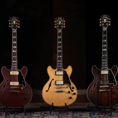 D'Angelico DADMINIDCSHNGS DELUXE MINI DC Semi Hollow Body Double Cutaway 6-String Electric Guitar w/Deluxe Hardshell Case image 7