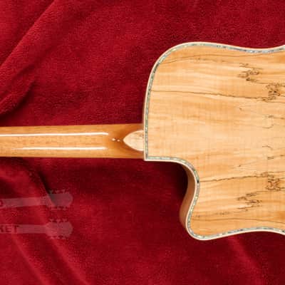 B.C. Rich Acoustic Cutaway 6 -String - Spalted Maple - W/Matrix Infinity VT & Hardcase image 13