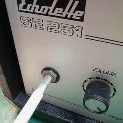 Echolette (Dynacord) SE 251 Tape Echo 70's - Black / Grey image 15