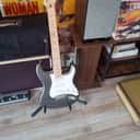 Fender Eric Clapton Artist Series Stratocaster with Vintage Noiseless Pickups 2001 - Present - Pewter