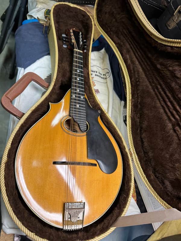 Lyon & Healy Style "B" 1920's - Natural #SR-11-69 image 1