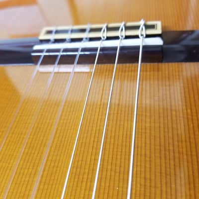 Fernandes/Takamine GC25 in 1975 image 9