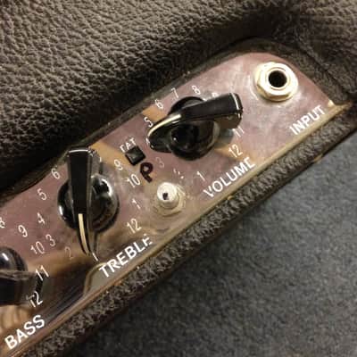 Fender Blues Junior - 20 watts BillM Mods image 4