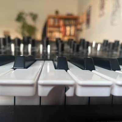 Korg Prologue 8 Polyphonic 49-Key 8-Voice Analog Synthesizer 2018 - Present - Black/Wood image 4