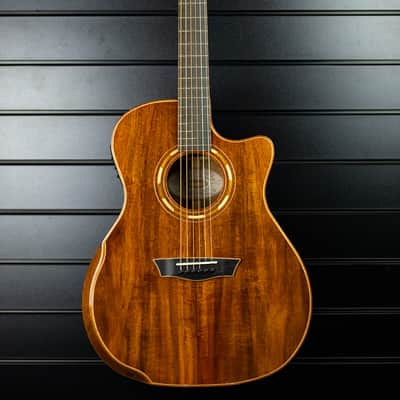 Washburn Comfort G55CE Koa image 1