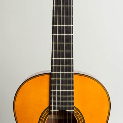 Del Pilar Classical Guitar (1980), black hard shell case. image 8