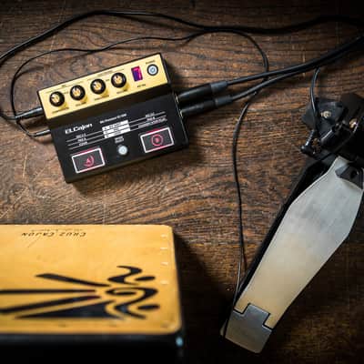 Roland EC-10M EL Cajon Mic Processor image 7