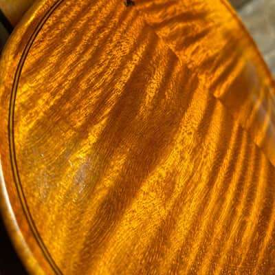 Fine Italian Violin 4/4 by Matteo Mazzotti Italy 2026 image 5
