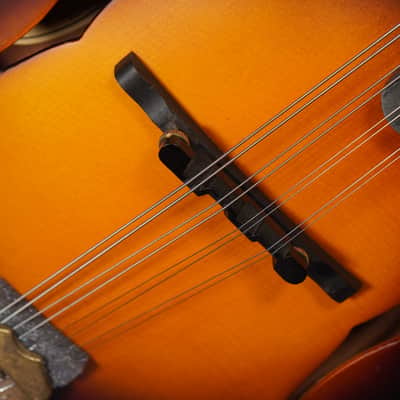 2020 Washburn M108SWK Carved F-Style Mandolin (VIDEO! Fresh Setup, Ready) image 9