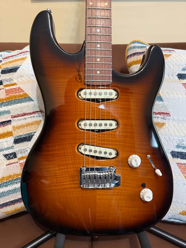 Godin Progression 2009 - Maple Sunburst image 1
