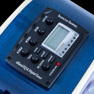 Washburn Festival EA15 Flame Transparent Blue image 7