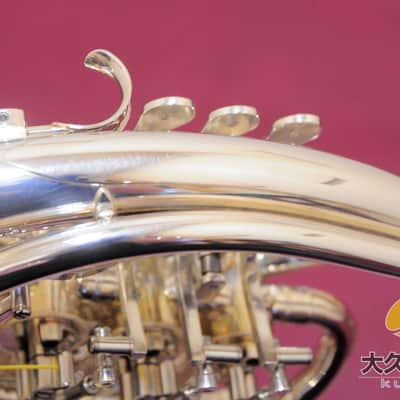 YAMAHA YHR-87DBS 120th Anniversary Full Double Horn image 12