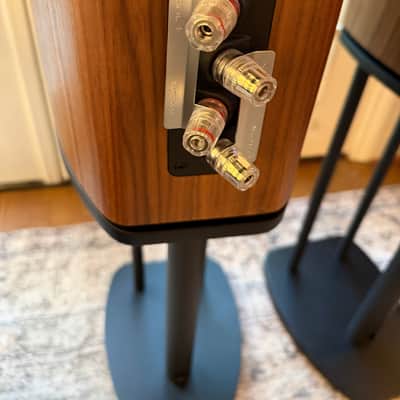 Speakers WHARFDALE EVO 4.2 Bookshelf Speakers image 12