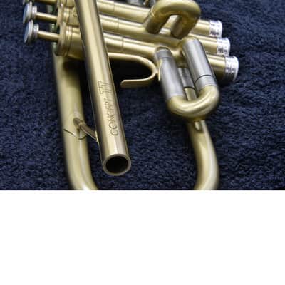 Selmer-Paris Concept TT 2009 - matt gold image 9