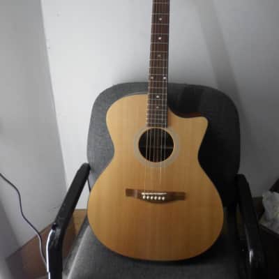 Eastman Grand Auditorium AC-GACE-1 acoustic Guitar image 1