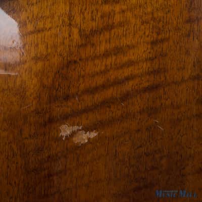 Palmer 335 Semi-hollow Electric Guitar (USED) image 10