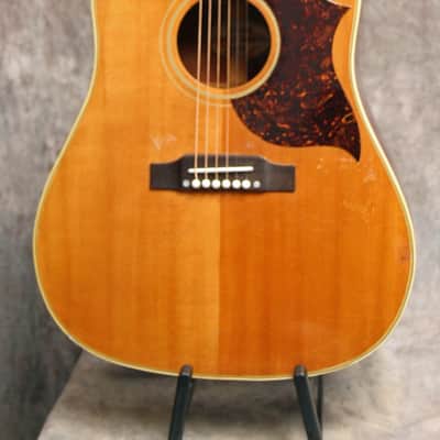 Gibson Country Western Guitar 1962 - natural top image 1