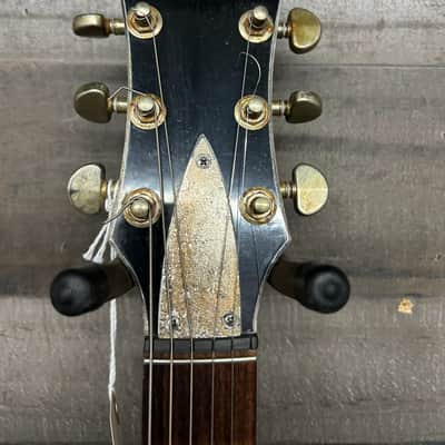 Dan Armstrong - 50th Anniversary image 6