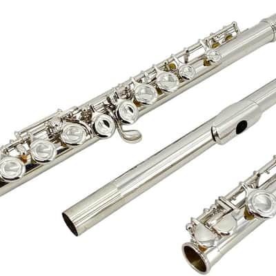 16 Key Closed Hole C Flute - Student Flute for Beginners,Easy to Play with Durable Design, Includes Carrying Case, Cleaning Kit, Gloves, Perfect for Learning(Silver) image 3