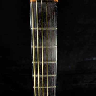 Benedetto Knotty Pine Special 17" Archtop - One of a Kind Collector's Instrument image 12