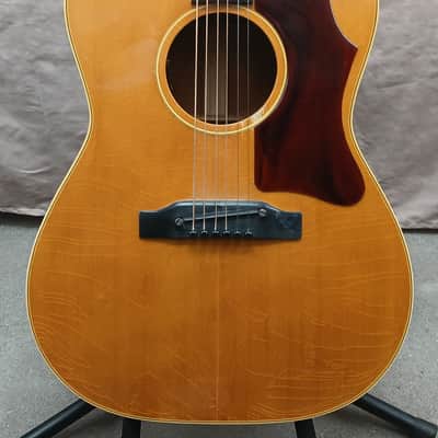 Gibson B-25 1966 - Natural image 7