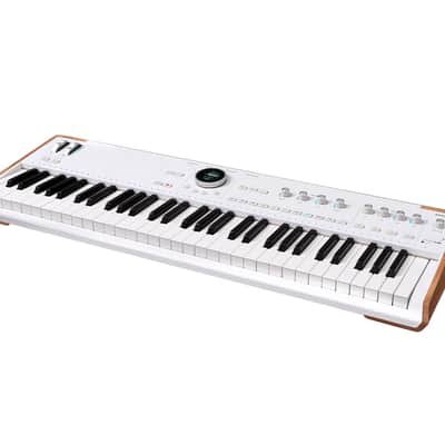 Arturia AstroLab 61-Key Stage Keyboard + Synthesizer (White) image 4
