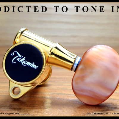 Takamine Pro Series Vintage FLUTED TP0508 Tuner SINGLE Not a set / BASS Side / 6 String image 16