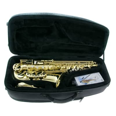 Selmer Axos Alto Saxophone image 16