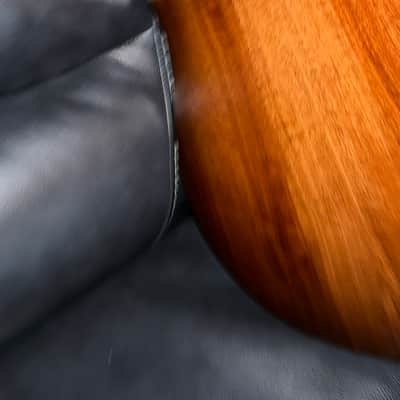 Taylor 517e Grand Pacific 2024 - Torrefied spruce top, Urban bark sides and back with shaded edge burst image 8