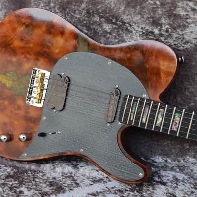 Immagine GB Liuteria Traditional Tele walnuts burl and resin - 3