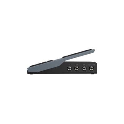 Walrus Audio Canvas Volume image 5