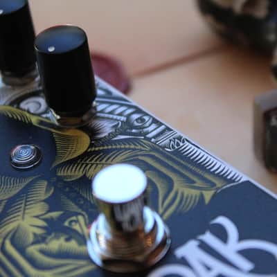 CATALINBREAD "Cloak (Delay & Modulator)" image 15
