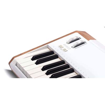 Arturia AstroLab 61-key Stage Keyboard with On-Stage KS8191XX Bullet Nose Keyboard Stand with Lok-Tight Attachment image 5